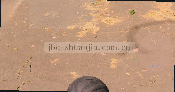 手机相册访问权限设置优化